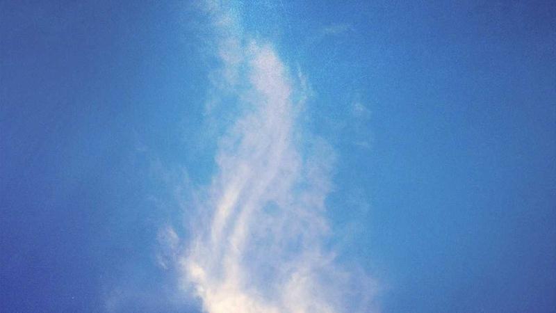 v66.com 新闻动态主视觉，现代科技企业资讯展示
